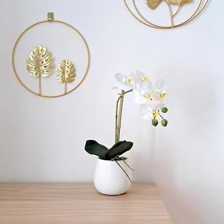 Διαμέρισμα Piccola Corte Di Borgo Vico *