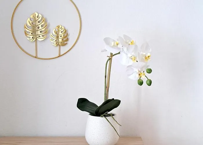 Appartement Piccola Corte Di Borgo Vico *